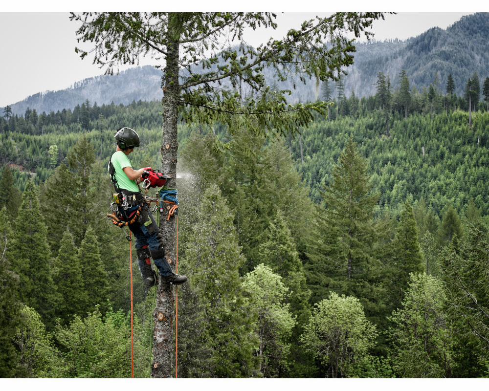 Gallery Image 2 - 4515272