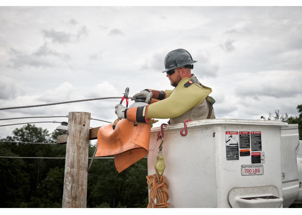 Gallery Image 6 - 4526887