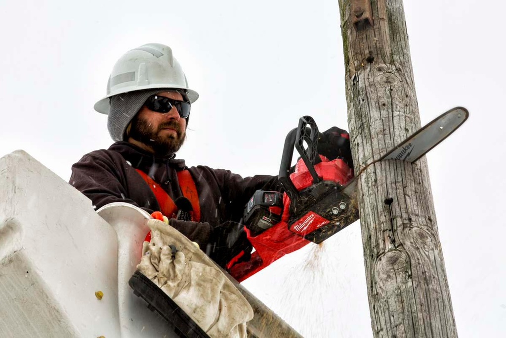 Gallery Image 7 - 4515267