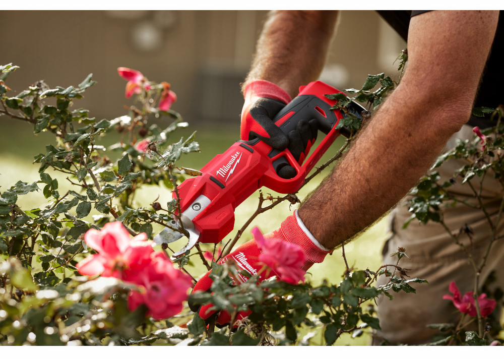 Gallery Image 3 - 4515351