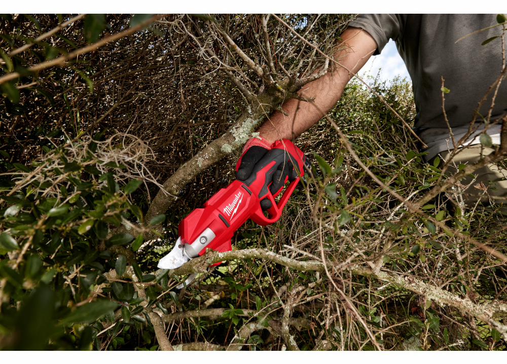 Gallery Image 2 - 4515350