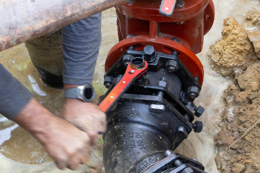 Gallery Image 7 - 4567400