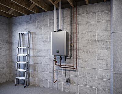 Gallery Image 5 - 3680425