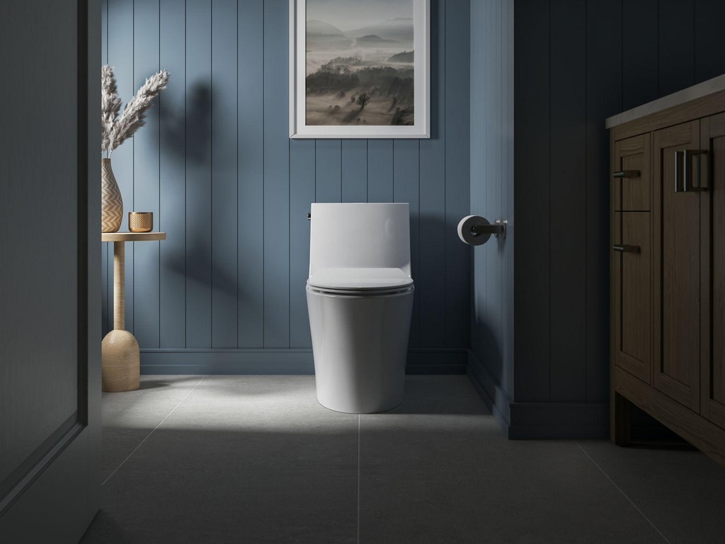 Gallery Image 12 - 2909100