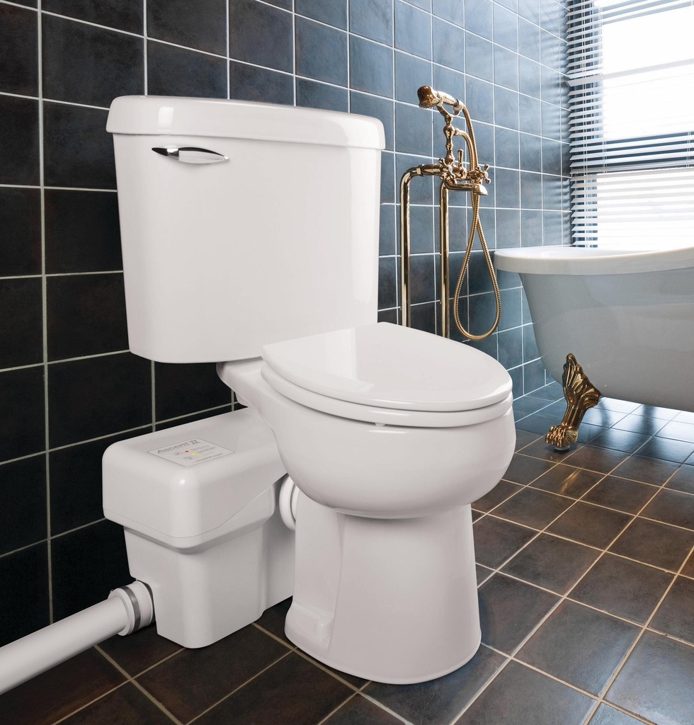 Gallery Image 2 - 1585105