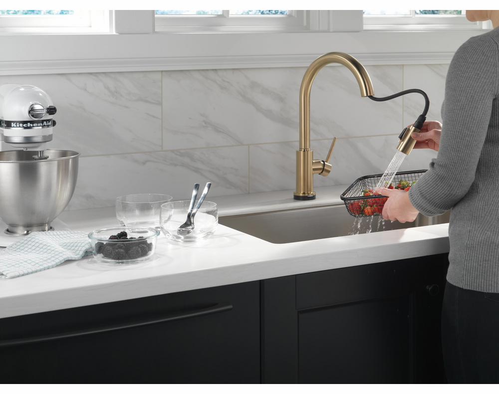 Gallery Image 3 - 3060486