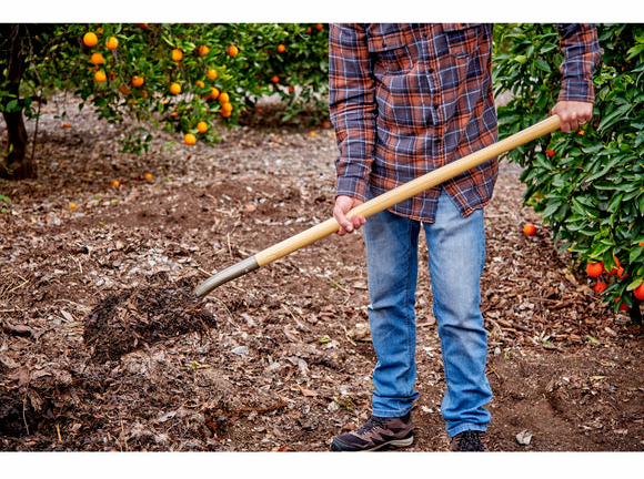 Gallery Image 3 - 5431005