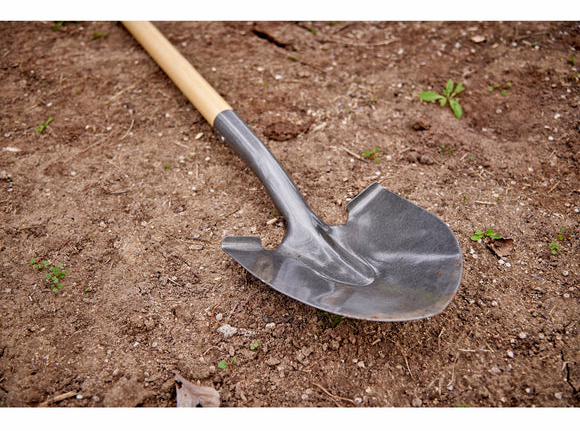 Gallery Image 3 - 5431000