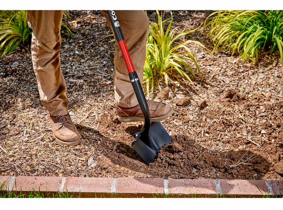 Gallery Image 3 - 5430985