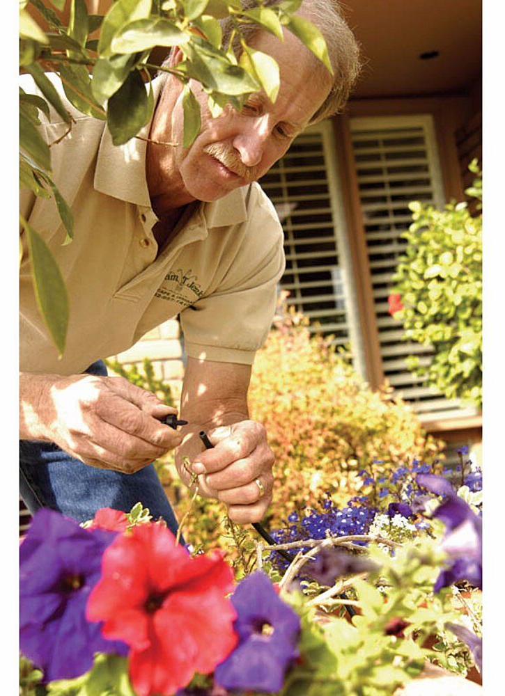 Gallery Image 10 - 4628100