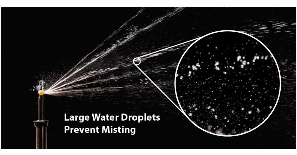 Gallery Image 3 - 4621583