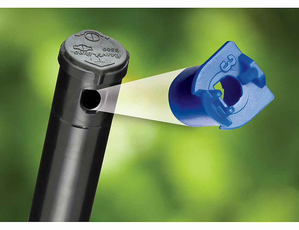 Gallery Image 5 - 4620520