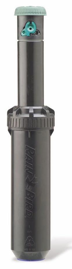 Gallery Image 1 - 4620785