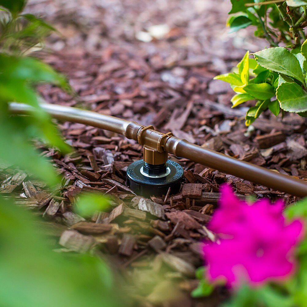 Gallery Image 1 - 4623320