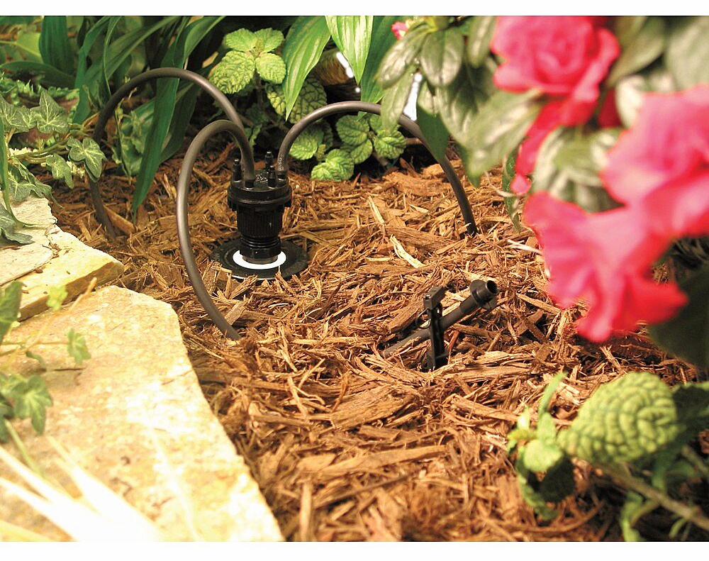 Gallery Image 3 - 4623320