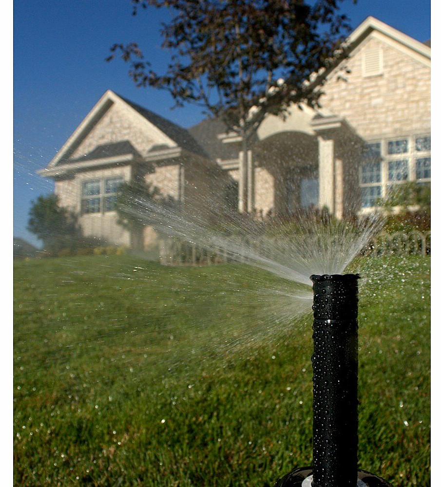 Gallery Image 4 - 4621204