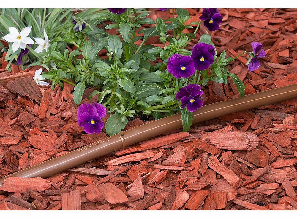 Gallery Image 1 - 4628400