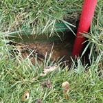 Gallery Image 4 - 7500150