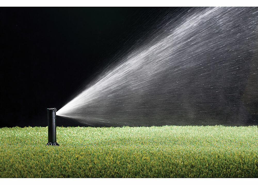 Gallery Image 4 - 4620525