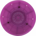 Gallery Image 4 - 5168850