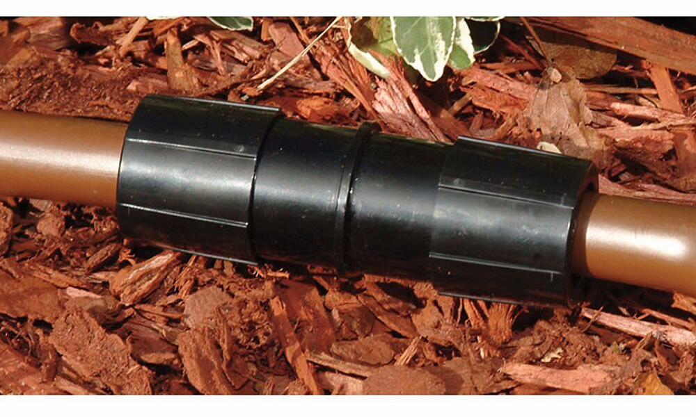 Gallery Image 8 - 4625200