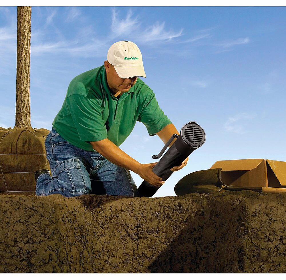 Gallery Image 5 - 4622520