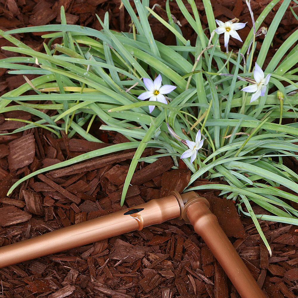 Gallery Image 3 - 4625085