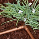 Gallery Image 3 - 4625085