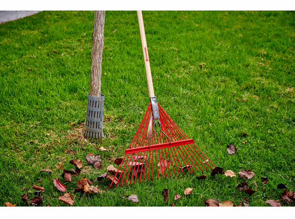 Gallery Image 2 - 5430917