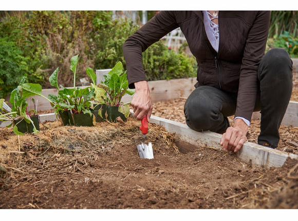 Gallery Image 2 - 5431132