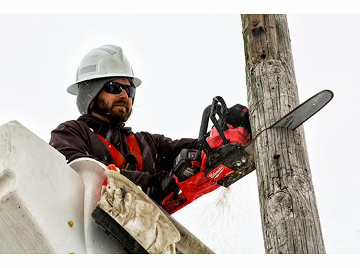 Gallery Image 6 - 4515260