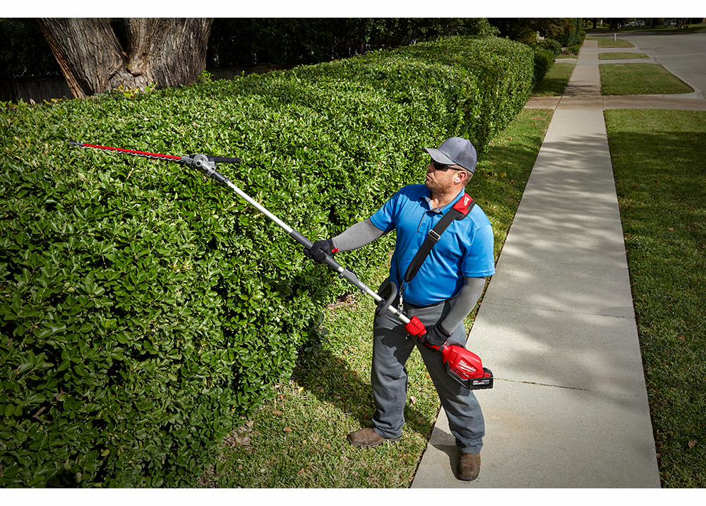 Gallery Image 4 - 4515630