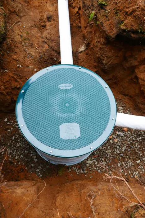 Gallery Image 5 - 1510057