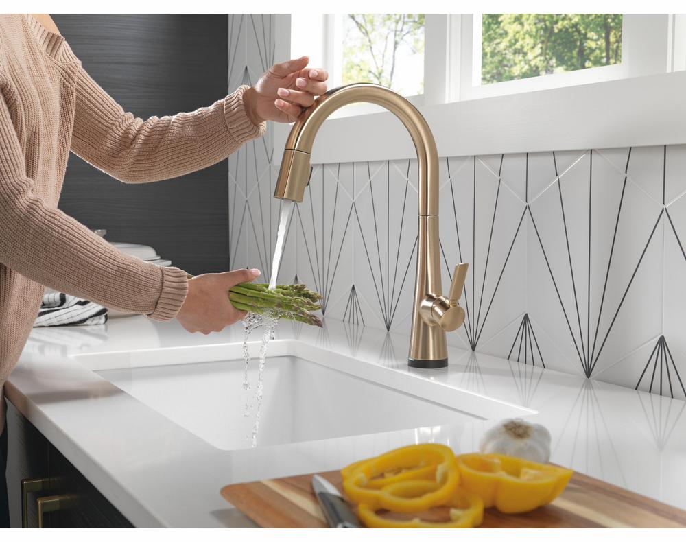 Gallery Image 2 - 3060148