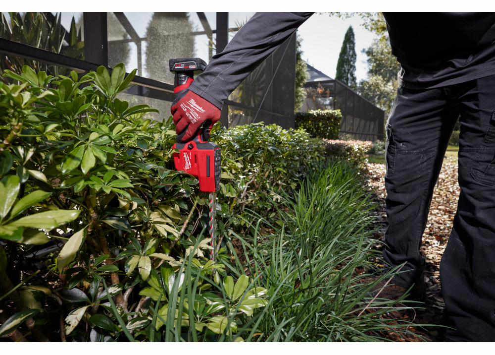 Gallery Image 5 - 4515635