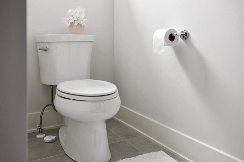 Gallery Image 11 - 5949994