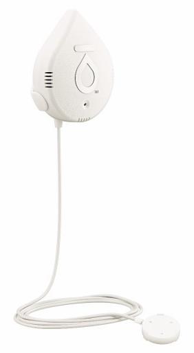 Gallery Image 1 - 5949995