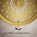 Gallery Image 8 - 2945271