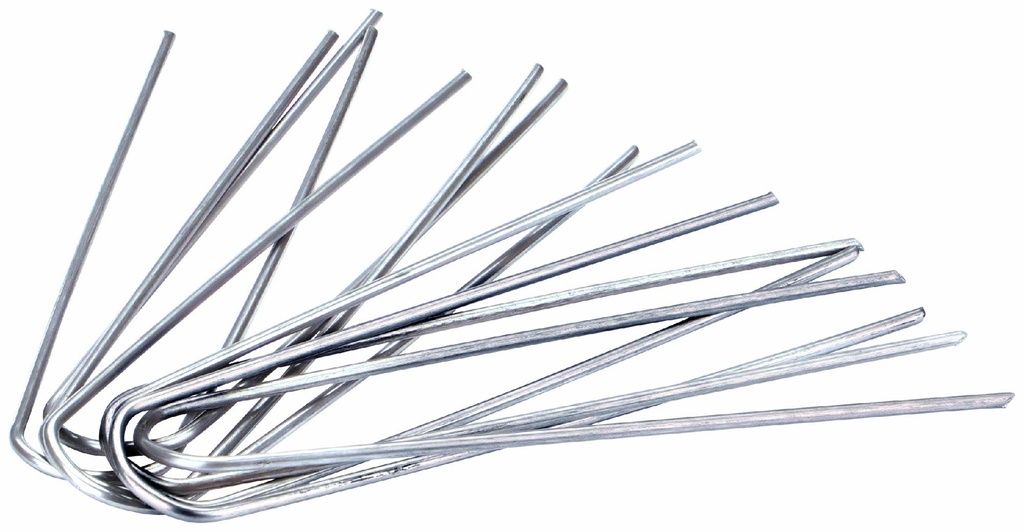 Gallery Image 4 - 4697555