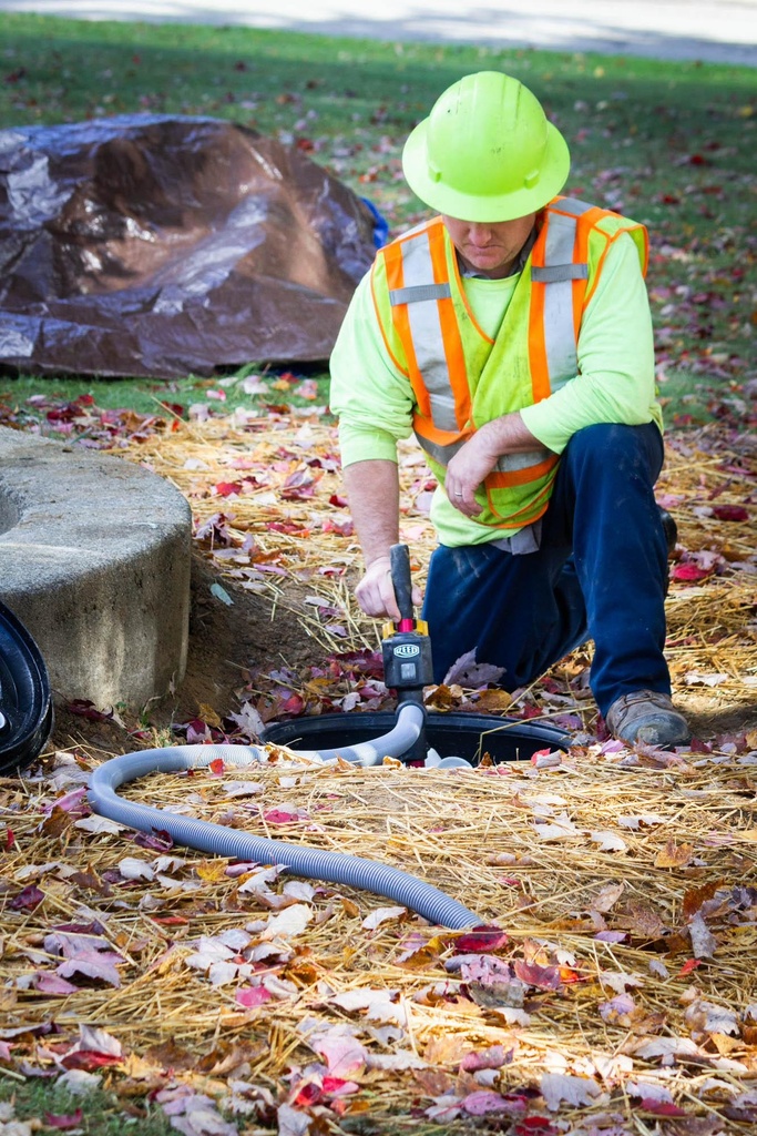 Gallery Image 3 - 4566850