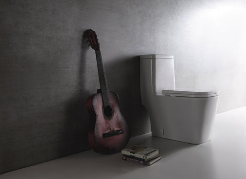 DUAL FLUSH ONE-PIECE TOILET SK128