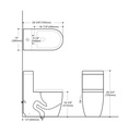 SIPHONIC FLUSH ONE-PIECE TOILET SK132