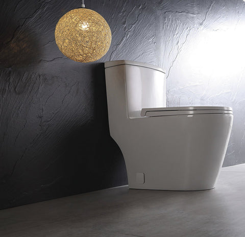 DUAL FLUSH ONE-PIECE TOILET SK137