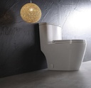 DUAL FLUSH ONE-PIECE TOILET SK137