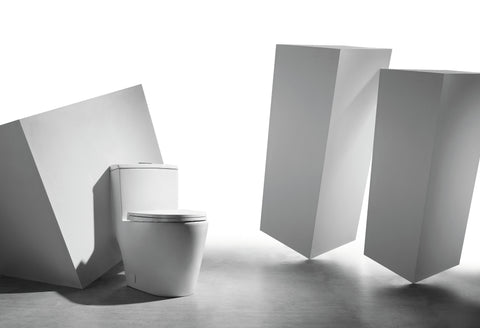 DUAL FLUSH ONE-PIECE TOILET SK137