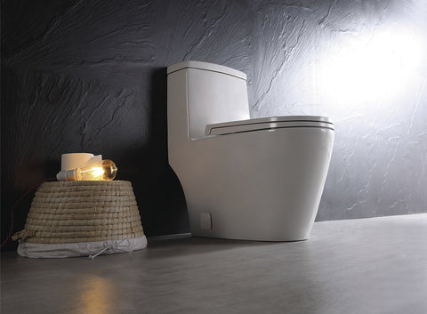 DUAL FLUSH ONE-PIECE TOILET SK136