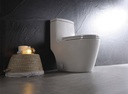 DUAL FLUSH ONE-PIECE TOILET SK136