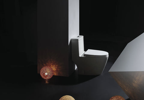 DUAL FLUSH ONE-PIECE TOILET SK136