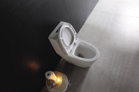 DUAL FLUSH ONE-PIECE TOILET SK136