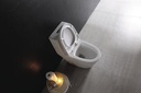 DUAL FLUSH ONE-PIECE TOILET SK136